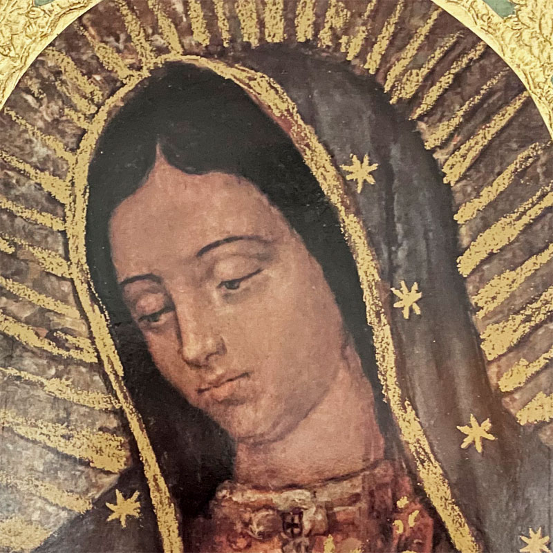 Our Lady of Guadalupe