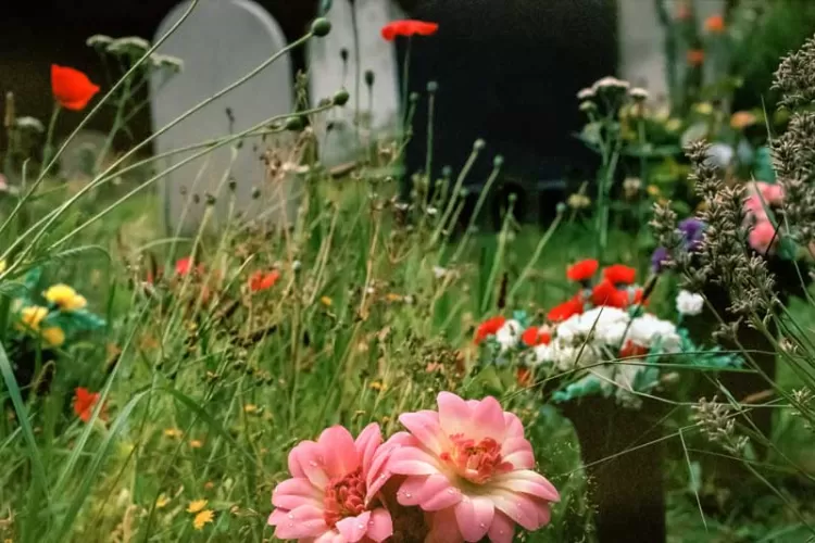 Known unto God Grave stones with wild flowers
