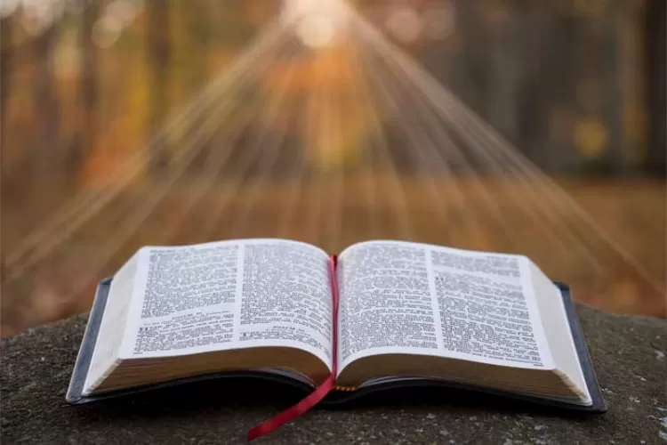 Cursos Básicos Bible open on ambo