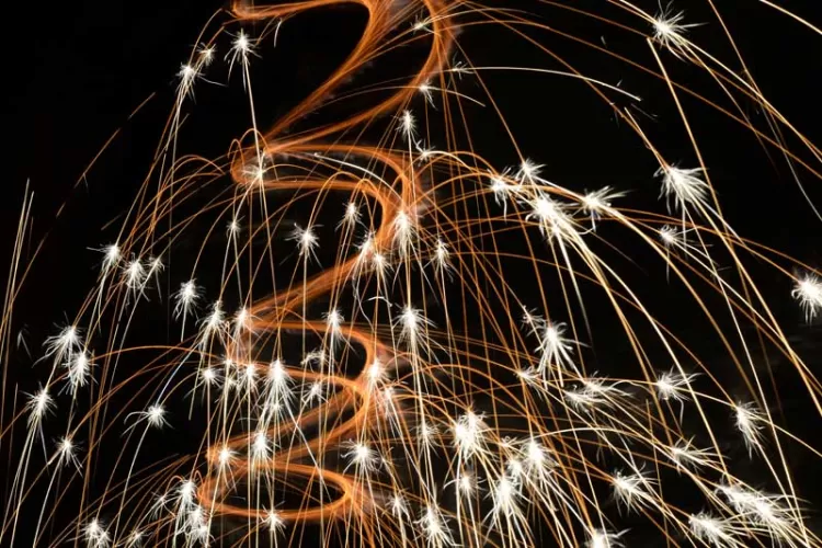 Happy New Year! Fireworks