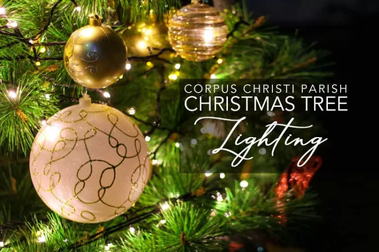 Corpus Christi 2024 Christmas Tree Lighting